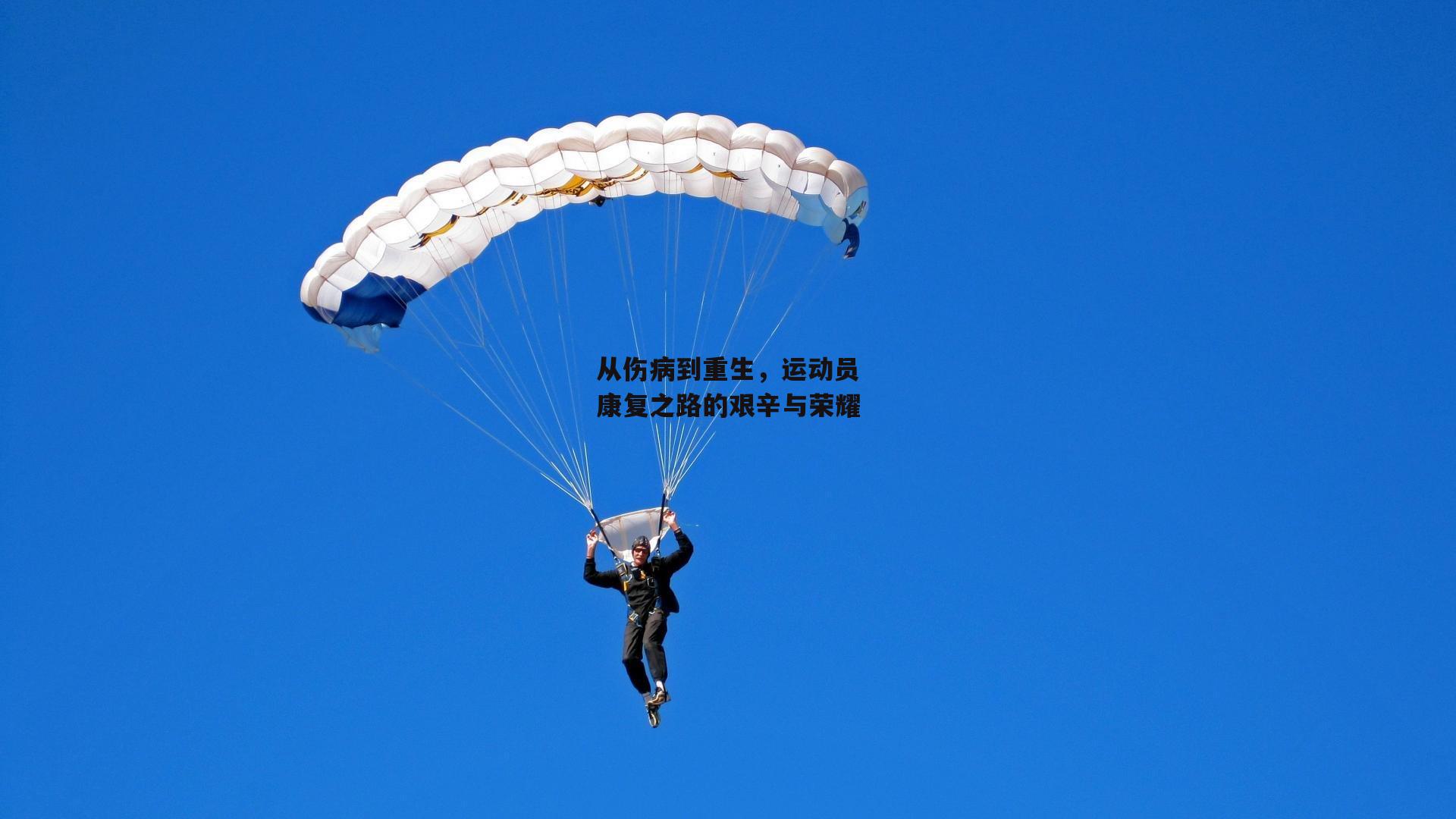 从伤病到重生，运动员康复之路的艰辛与荣耀